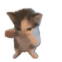 kicau